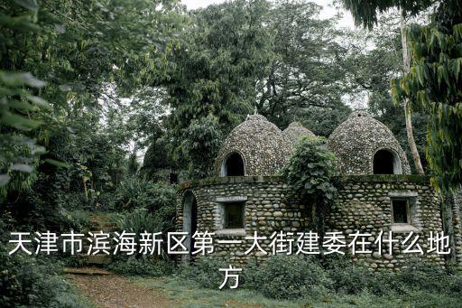 天津市濱海新區第一大街建委在什么地方