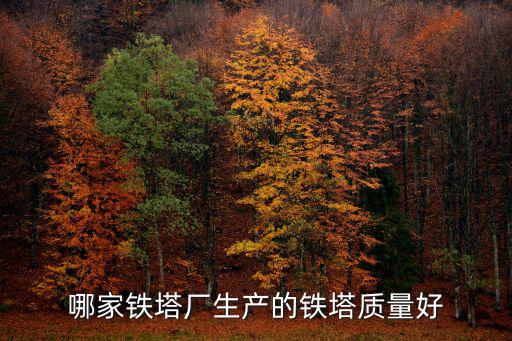天津市鐵塔集團有限公司怎么樣，鐵塔公司是干什么的和三大運營商有什么利益沖突嗎