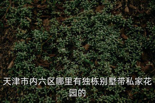 天津市內(nèi)六區(qū)哪里有獨棟別墅帶私家花園的