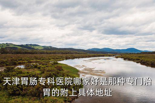 天津胃腸?？漆t院哪家好是那種專門治胃的附上具體地址