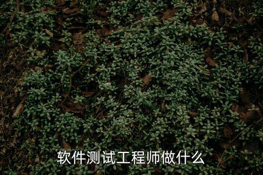軟件測試工程師做什么