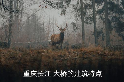 重慶大橋,所有重慶和非重慶車牌出現錯峰區域