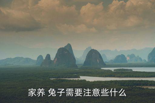 養(yǎng)兔子要注意什么,養(yǎng)兔需要注意什么?