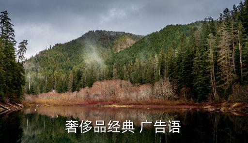 二手車廣告,奢侈品廣告詞（一）