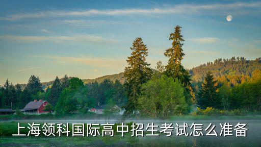 上海領科國際高中招生考試怎么準備
