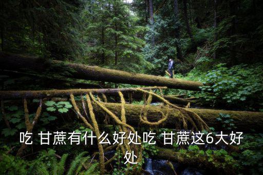 甘蔗的作用,維生素c和纖維素豐富甘蔗有助預防口腔炎癥和口臭