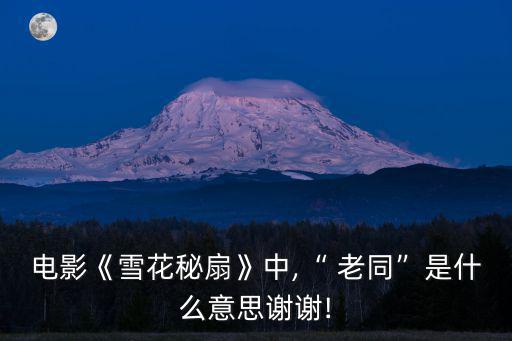 電影《雪花秘扇》中,“ 老同”是什么意思謝謝!