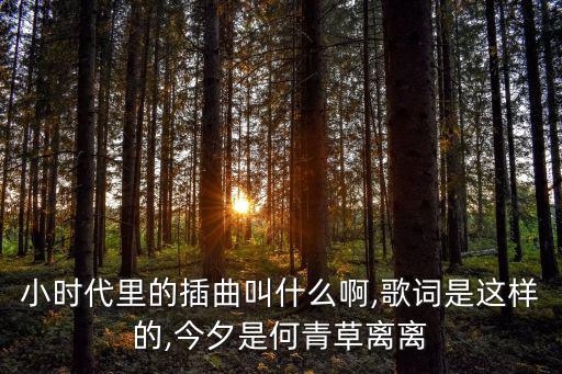 小時代里的插曲叫什么啊,歌詞是這樣的,今夕是何青草離離