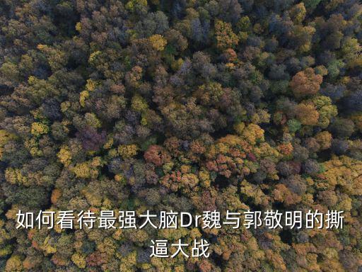 如何看待最強大腦Dr魏與郭敬明的撕逼大戰