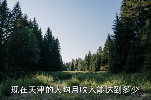 現在天津的人均月收入能達到多少