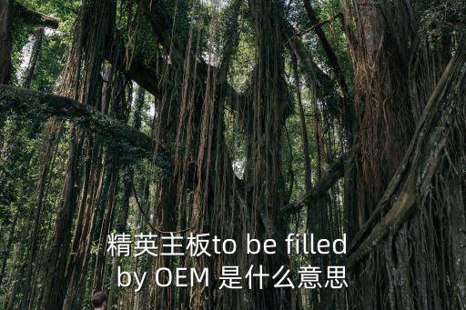 精英主板to be filled by OEM 是什么意思