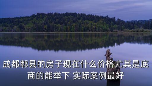 成都郫縣的房子現(xiàn)在什么價格尤其是底商的能舉下 實際案例最好