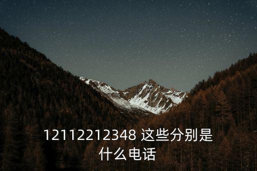 12112212348 這些分別是什么電話