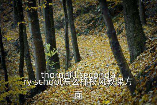 thornhill secondary school怎么樣校風(fēng)教課方面
