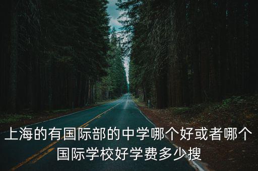 上海的有國際部的中學哪個好或者哪個國際學校好學費多少搜