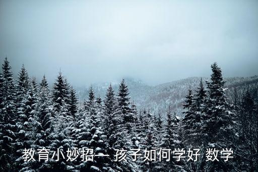 如何教孩子學數學,從游戲數學開始學數學