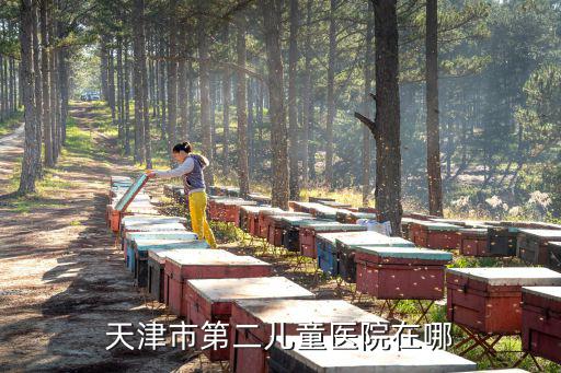 天津市第二兒童醫(yī)院官方網(wǎng)站，天津第二兒童醫(yī)院預(yù)約掛號