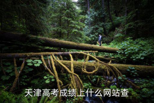 天津高考成績上什么網站查