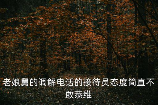 老娘舅的調解電話的接待員態度簡直不敢恭維