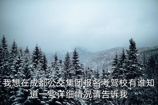 我想在成都公交集團報名考駕校有誰知道一些詳細情況請告訴我