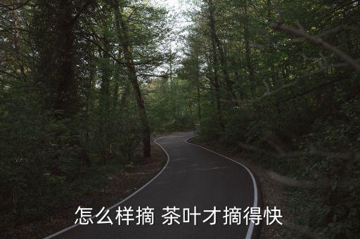 摘茶葉,茶葉采摘技巧