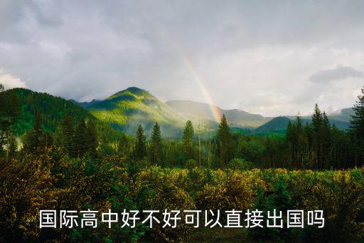 國際高中必須出國嗎，我不出國可以上高中國際班嗎是不是很費錢或者分很高呢