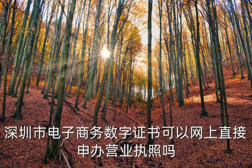 深圳市電子商務數字證書可以網上直接申辦營業執照嗎