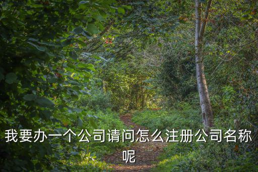 我要辦一個公司請問怎么注冊公司名稱呢