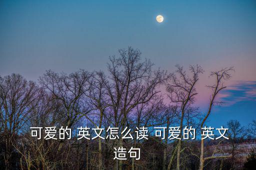  可愛的 英文怎么讀 可愛的 英文造句
