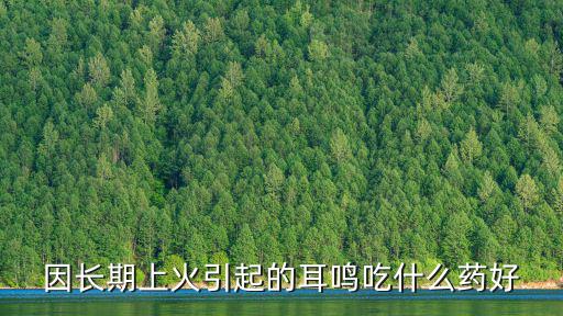 因長期上火引起的耳鳴吃什么藥好
