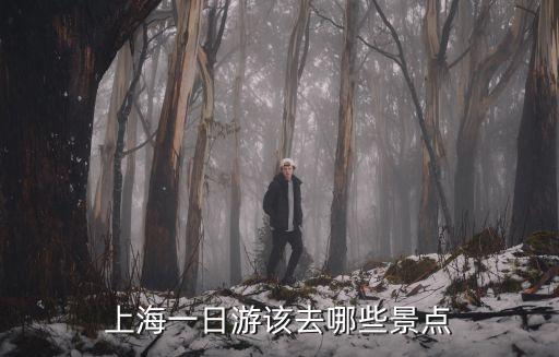 上海一日游該去哪些景點(diǎn)