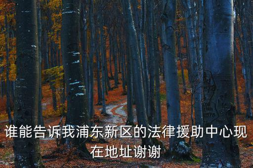 上海市浦東法律援助中心地址查詢，誰能告訴我浦東新區的法律援助中心現在地址謝謝