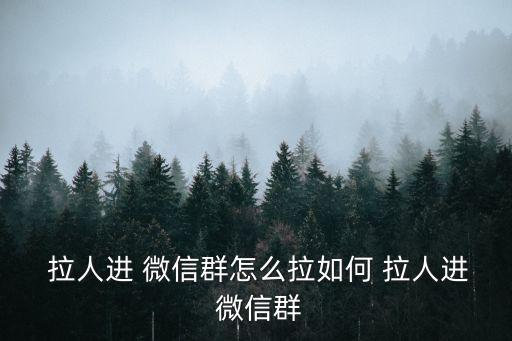  拉人進(jìn) 微信群怎么拉如何 拉人進(jìn) 微信群