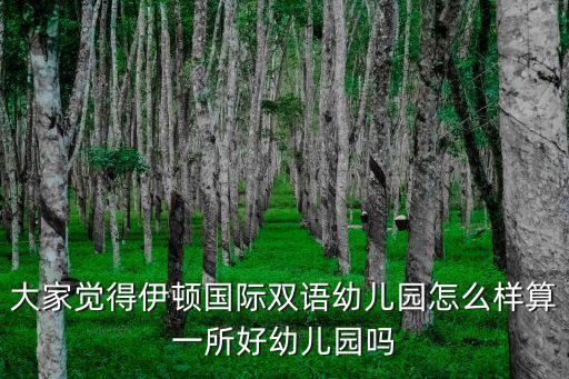 大家覺得伊頓國際雙語幼兒園怎么樣算一所好幼兒園嗎