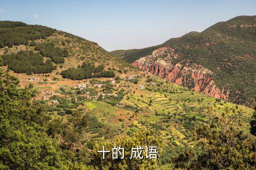 帶有十的成語,十萬火急十字路口十指連心