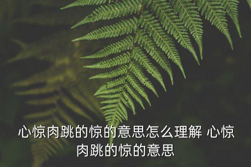 心驚肉跳,第二集:為感恩而戰(zhàn)第一集
