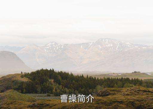 曹操簡介資料,亂世得力大臣曹操是袁紹的朋友