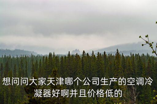 想問問大家天津哪個公司生產的空調冷凝器好啊并且價格低的
