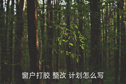 整改計劃,醫保檢查整改行動計劃下周一公布