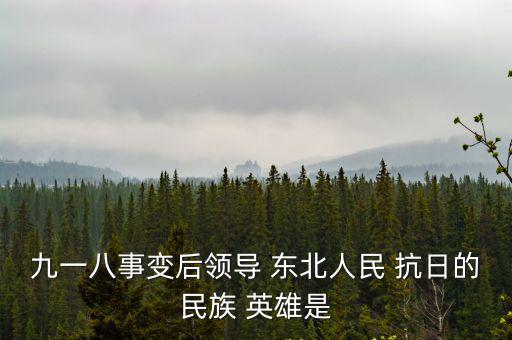 東北抗日英雄,東北抗日聯軍與日偽軍正規軍血戰11年抗戰