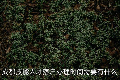 成都市人才引進 2019，成都技能人才落戶辦理時間需要有什么