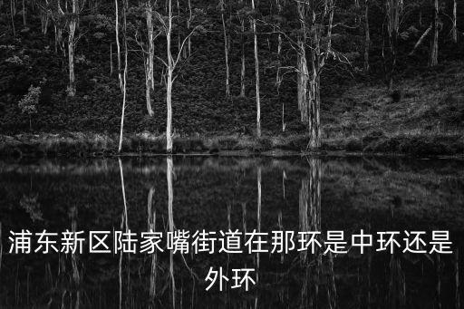 浦東新區(qū)陸家嘴街道在那環(huán)是中環(huán)還是外環(huán)