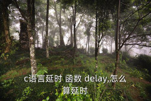 c語言延時 函數 delay,怎么算延時