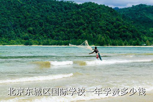 北京東城區(qū)國際學(xué)校一年學(xué)費多少錢