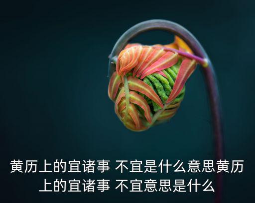 黃歷上的宜諸事 不宜是什么意思黃歷上的宜諸事 不宜意思是什么