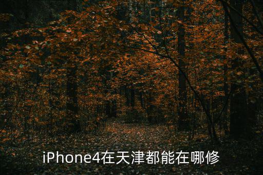 iPhone4在天津都能在哪修