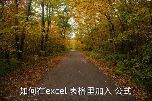 如何在excel 表格里加入 公式