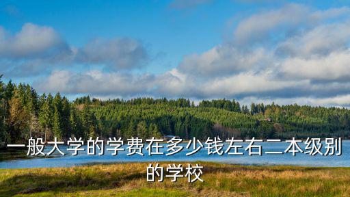 華二紫竹國際學院學費，第二批各大學學費