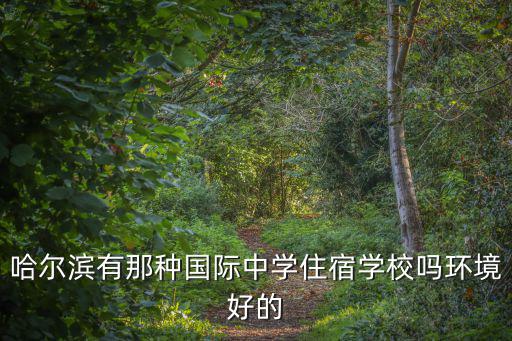 哈爾濱有那種國際中學住宿學校嗎環境好的