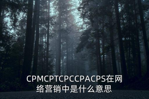 CPMCPTCPCCPACPS在網絡營銷中是什么意思